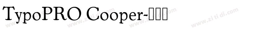 TypoPRO Cooper字体转换